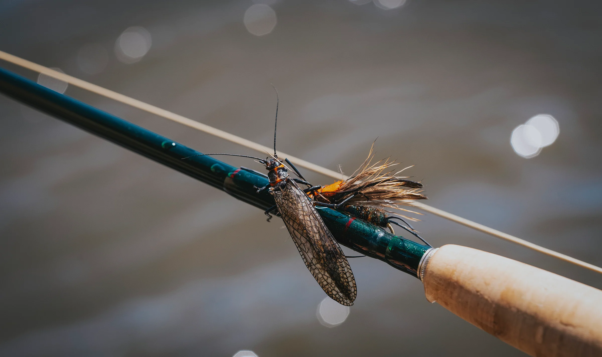 Master the Art of the Fly